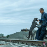 Black Dog